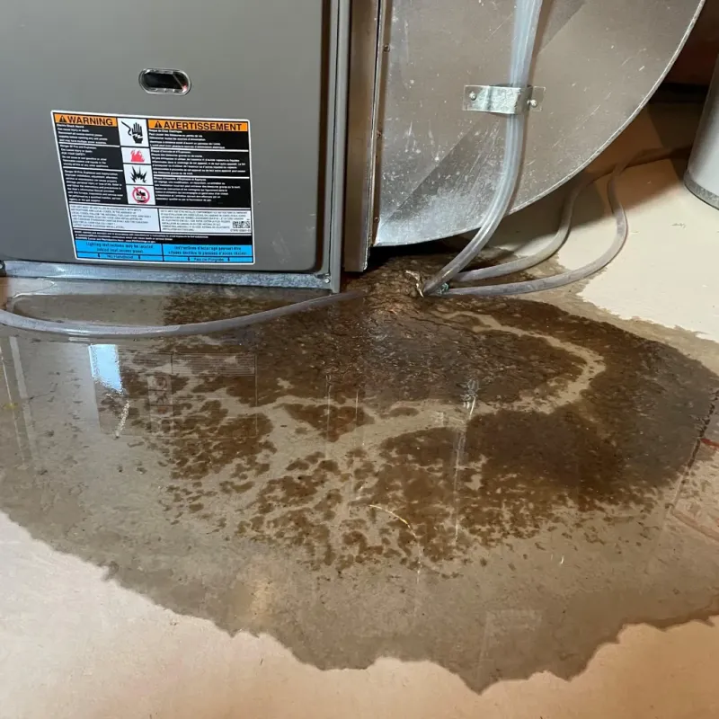 Appliance Leak Cleanup in Blountsville, AL